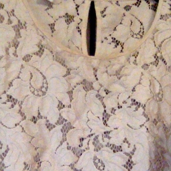 Diane Von Furstenberg Lace Shell, Generous Size 10, Blush - Picture 2 of 2